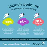 Company of Animals Coachi Chase & Crinkle - Chase & Play için Eğlenceli Bir Zenginleştirme Köpek Oyuncağı. Yumuşak ve Kırışıklı, Hafif, Öd - Seçenekler: Chase & Kırışıklık, Tuggi Helix, Tuggi Postu...