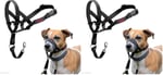 Company of Animals Halti Baş Tasması, Dolgulu Burun Bandı, Ayarlanabilir ve Yansıtıcı, Küçük Köpekler İçin Profesyonel Çekme Önleyici Eğitim Yardımcısı (Boyut  - Seçenekler: 0 (2 paketi), 1 (2 paketi)