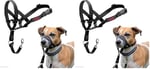 Company of Animals Halti Baş Tasması, Dolgulu Burun Bandı, Ayarlanabilir ve Yansıtıcı, Küçük Köpekler İçin Profesyonel Çekme Önleyici Eğitim Yardımcısı (Boyut  - Seçenekler: 0 (2 paketi), 1 (2 paketi)