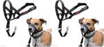 Company of Animals Halti Baş Tasması, Dolgulu Burun Bandı, Ayarlanabilir ve Yansıtıcı, Küçük Köpekler İçin Profesyonel Çekme Önleyici Eğitim Yardımcısı (Boyut  - Seçenekler: 0 (2 paketi), 1 (2 paketi)
