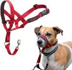 Company of Animals Halti Baş Tasması - Dolgulu Burun Bandı, Ayarlanabilir ve Yansıtıcı, Küçük Köpekler İçin Profesyonel Çekme Önleyici Eğitim Yardımcısı (Boyut - Seçenekler: 0 (2 paketi), 1 (2 paketi)