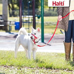 Company of Animals Halti Köpek Eğitim Kayışı, Küçük Boy Kırmızı, 2 m