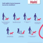 Company of Animals Halti Köpek Eğitim Kayışı, Küçük Boy Kırmızı, 2 m
