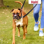 Company of Animals Halti Optifit Baş Tasması - Dolgulu Burun Bandı, Ayarlanabilir ve Yansıtıcı, Küçük Köpekler için Profesyonel Çekme Önleyici Eğitim Yardı - Seçenekler: Küçük (3 paketi), large, Küçük