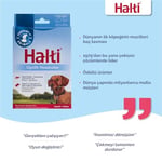 Company of Animals Halti Optifit Baş Tasması - Dolgulu Burun Bandı, Ayarlanabilir ve Yansıtıcı, Küçük Köpekler için Profesyonel Çekme Önleyici Eğitim Yardı - Seçenekler: Küçük (3 paketi), large, Küçük