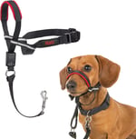 Company of Animals Halti Optifit Baş Tasması - Dolgulu Burun Bandı, Ayarlanabilir ve Yansıtıcı, Küçük Köpekler için Profesyonel Çekme Önleyici Eğitim Yardı - Seçenekler: Küçük (3 paketi), large, Küçük