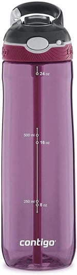 Contigo Ashland Autospout Tritan Suluk 720 ml, Gri