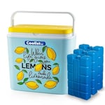 Coolist CLB30LM Limon Desenli Buzluk, 30 Litre + 3 Adet Buz Kaseti 400gr