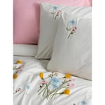 Cotton Box Nakışlı Ranforce Çift Kişilik Nevresim Takımı Delbin Pembe
