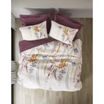 Cotton Box Tek Kişilik Complete Set Flos Bordo
