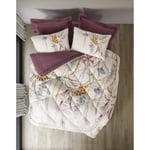 Cotton Box Tek Kişilik Uyku Seti Flos Bordo