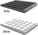 Coverzone Macbook Notebook Uyumlu Bluetooth Kablosuz Numerik Klavye Tuş Takımı Mini Numpad Ultra İnce Kablosuz Şarjlı 28 Tuşlu Mini Rakam Klavyesi Keypad N960 (Titanium)