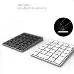 Coverzone Macbook Notebook Uyumlu Bluetooth Kablosuz Numerik Klavye Tuş Takımı Mini Numpad Ultra İnce Kablosuz Şarjlı 28 Tuşlu Mini Rakam Klavyesi Keypad N960 (Titanium)