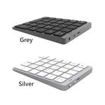 Coverzone Macbook Notebook Uyumlu Bluetooth Kablosuz Numerik Klavye Tuş Takımı Mini Numpad Ultra İnce Kablosuz Şarjlı 28 Tuşlu Mini Rakam Klavyesi Keypad N960 (Titanium)