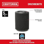 CRAFTSMAN CMXZVBE38773 Islak Uygulama Filtresi 5 ila 20 Galon Islak/Kuru Vakumlar ve Mağaza Süpürgeleri için