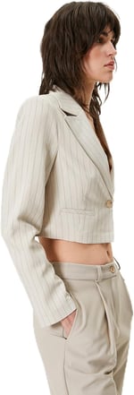 Crop Blazer Ceket Uzun Kollu