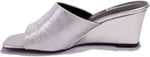 Dagoster DZA07-108524344 Gümüş Dolgu Taban Topuklu Kadın Terlik