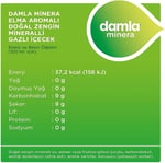Damla Minera Elmalı Maden Suyu Cam Şişe 6x200 ml