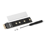 Dark DK-AC-PEM1X NGFF/NVMe M.2 SSD PCI-E X1 Kartı, Siyah