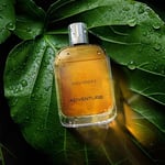 Davidoff Adventure EDT 100 ml Erkek Parfüm