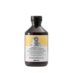 Davines Natural Tech Purifying - Kepeğe Karşı Şampuan 250 ml