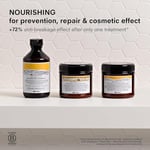 Davines Naturaltech Kuru&Yıpranmış Saçlar İçin Bakım Maskesi 250ml