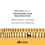 Davines Naturaltech Kuru&Yıpranmış Saçlar İçin Bakım Maskesi 250ml
