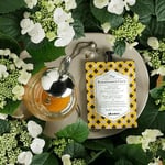 Davines The Renaissance Circle Onarıcı Bakım Maskesi 50ml