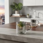 Deconox 250 ml Çift Cidarlı Borosilikat Cam Kupa - Antrasit Detaylı, Dikey Çizgili Isıya Dayanıklı Kahve ve Çay Bardağı