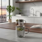 Deconox 250 ml Çift Cidarlı Borosilikat Cam Kupa - Antrasit Detaylı, Dikey Çizgili Isıya Dayanıklı Kahve ve Çay Bardağı