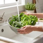 Deconox Paslanmaz Çelik Çift Kulplu Sepet Süzgeç 22cm*10cm, Salata Süzgeci Meyve Süzgeci, Makarna Süzgeci, Paslanmaz Çelik Çift Kulplu 22cm Sepet Süzgeç SPT22