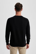 DeFacto A5281AX Sweatshirt Erkek