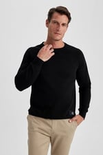 DeFacto A5281AX Sweatshirt Erkek