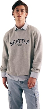 DeFacto A5343AX Sweatshirt Erkek