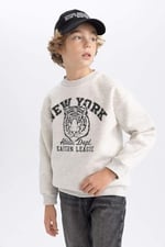 DeFacto B7822a8 Sweatshirt Erkek çocuk