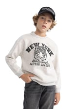 DeFacto B7822a8 Sweatshirt Erkek çocuk