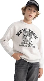DeFacto B7822a8 Sweatshirt Erkek çocuk
