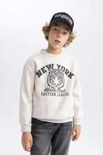 DeFacto B7822a8 Sweatshirt Erkek çocuk