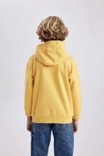 DeFacto Erkek Çocuk Regular Fit Kapüşonlu Sweatshirt