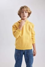 DeFacto Erkek Çocuk Regular Fit Kapüşonlu Sweatshirt