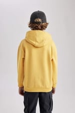 DeFacto Erkek Çocuk Regular Fit Kapüşonlu Sweatshirt