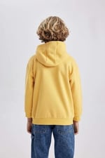 DeFacto Erkek Çocuk Regular Fit Kapüşonlu Sweatshirt