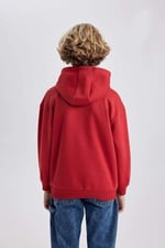 DeFacto Erkek Çocuk Regular Fit Kapüşonlu Sweatshirt