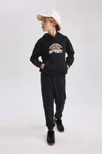 DeFacto Erkek Çocuk Regular Fit Kapüşonlu Sweatshirt