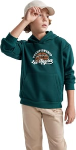 DeFacto Erkek Çocuk Regular Fit Kapüşonlu Sweatshirt