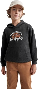 DeFacto Erkek Çocuk Regular Fit Kapüşonlu Sweatshirt