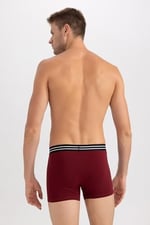 DeFacto Erkek Regular Fit 2'li Boxer