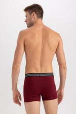 DeFacto Erkek Regular Fit 2'li Boxer