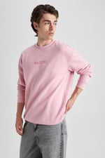 Defacto Erkek Sweatshirt V5306az
