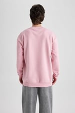 Defacto Erkek Sweatshirt V5306az